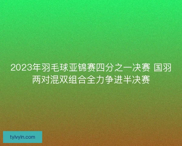 2023年羽毛球亚锦赛四分之一决赛 国羽两对混双组合全力争进半决赛