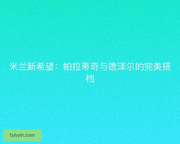 米兰新希望：帕拉蒂奇与德泽尔的完美搭档